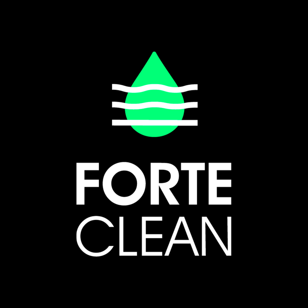 Forte Clean ajustar logos 1