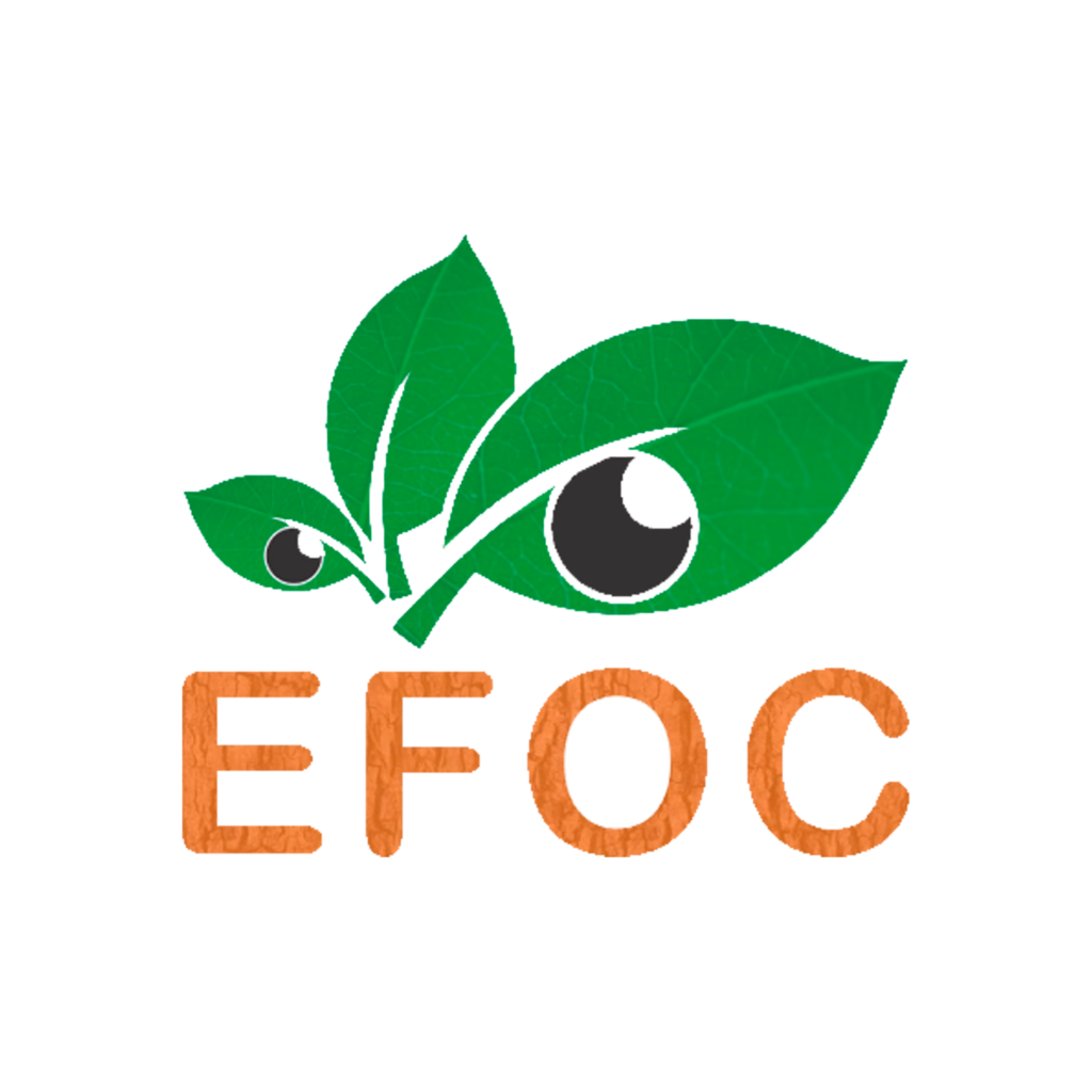 Escola da Floresta (EFOC) logo 5